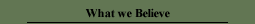 A link to information on What we believe.